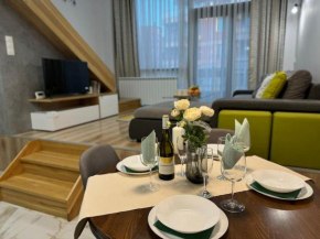 Modern Vitosha Maisonette